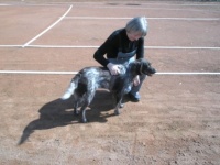 Plätze einrichten 2009