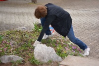 Plätze einrichten 2017